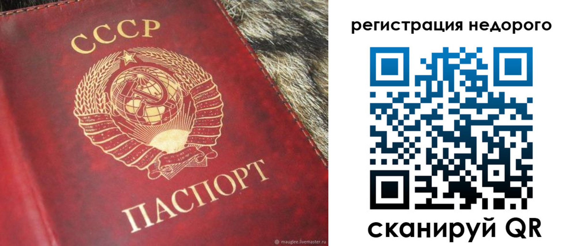прописка ребенка в Майкопе